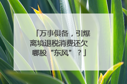 万事俱备，引爆离境退税消费还欠哪股“东风”？
