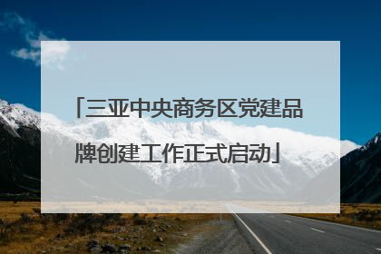 三亚中央商务区党建品牌创建工作正式启动