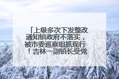 上级多次下发整改通知镇政府不落实，被市委巡察组抓现行！吉林一副镇长受党内警告处分