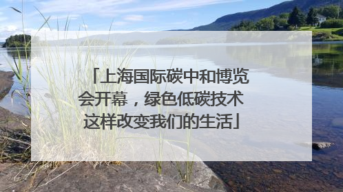 上海国际碳中和博览会开幕，绿色低碳技术这样改变我们的生活