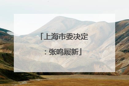 上海市委决定：张鸣履新