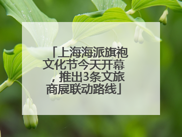 上海海派旗袍文化节今天开幕，推出3条文旅商展联动路线