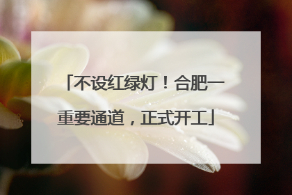 不设红绿灯！合肥一重要通道，正式开工