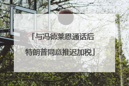 与冯德莱恩通话后 特朗普同意推迟加税
