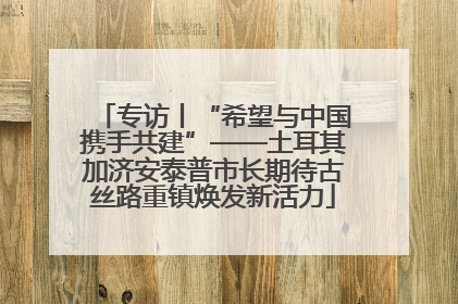 专访丨“希望与中国携手共建”——土耳其加济安泰普市长期待古丝路重镇焕发新活力