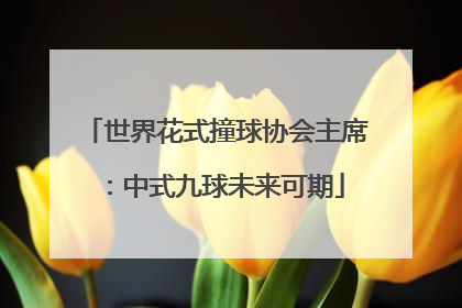 世界花式撞球协会主席：中式九球未来可期