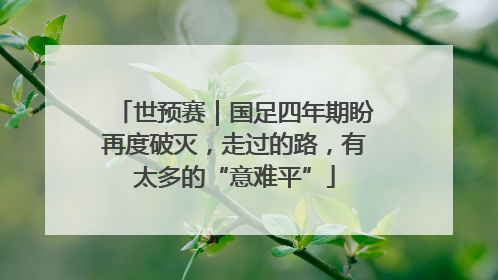 世预赛｜国足四年期盼再度破灭，走过的路，有太多的“意难平”