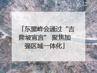 东盟峰会通过“吉隆坡宣言” 聚焦加强区域一体化