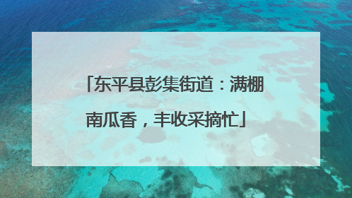 东平县彭集街道：满棚南瓜香，丰收采摘忙