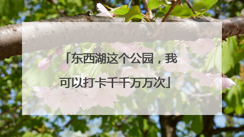 东西湖这个公园，我可以打卡千千万万次