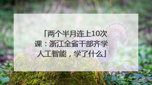两个半月连上10次课：浙江全省干部齐学人工智能，学了什么
