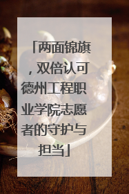 两面锦旗，双倍认可德州工程职业学院志愿者的守护与担当