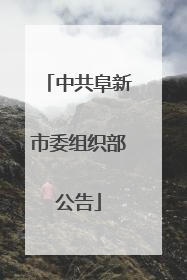 中共阜新市委组织部公告