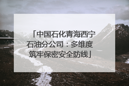 中国石化青海西宁石油分公司：多维度筑牢保密安全防线