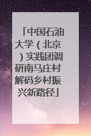 中国石油大学（北京）实践团调研南马庄村解码乡村振兴新路径