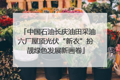 中国石油长庆油田采油六厂屋顶光伏“新衣”扮靓绿色发展新画卷