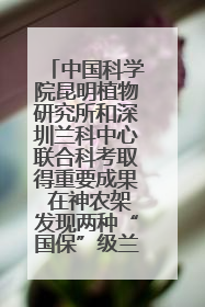 中国科学院昆明植物研究所和深圳兰科中心联合科考取得重要成果 在神农架发现两种“国保”级兰花