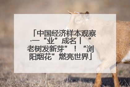 中国经济样本观察·一“业”成名丨“老树发新芽”！“浏阳烟花”燃亮世界