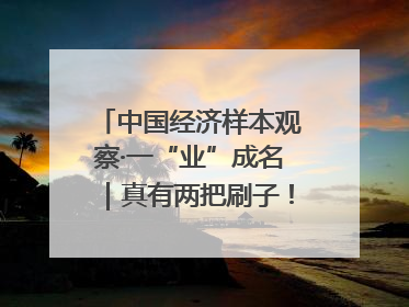 中国经济样本观察·一“业”成名｜真有两把刷子！“刷”出30亿级“颜值经济”