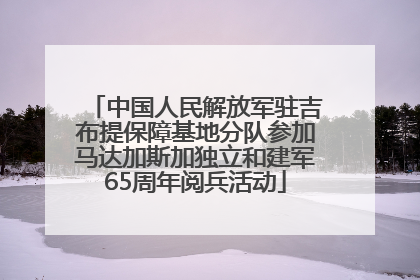 中国人民解放军驻吉布提保障基地分队参加马达加斯加独立和建军65周年阅兵活动