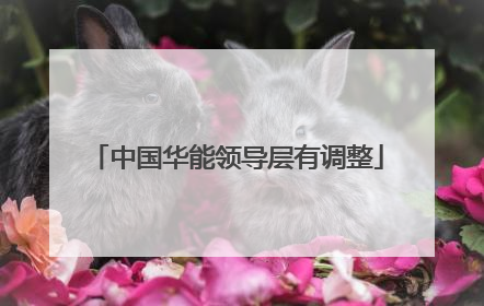 中国华能领导层有调整