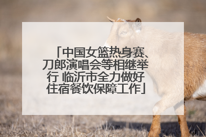 中国女篮热身赛、刀郎演唱会等相继举行 临沂市全力做好住宿餐饮保障工作