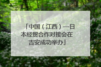 中国（江西）—日本经贸合作对接会在吉安成功举办