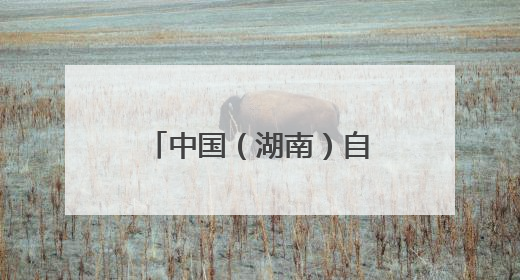 中国（湖南）自贸试验区对非合作创新成果发布 长沙片区对非贸易年均增长141%