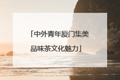 中外青年厦门集美品味茶文化魅力