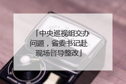 中央巡视组交办问题，省委书记赴现场督导整改
