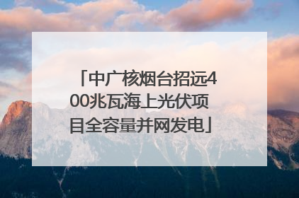 中广核烟台招远400兆瓦海上光伏项目全容量并网发电