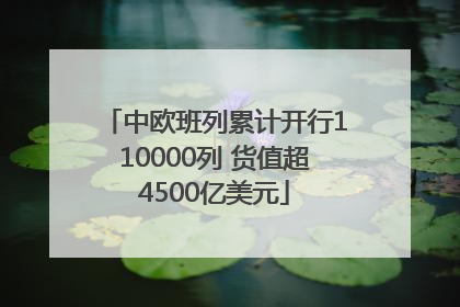 中欧班列累计开行110000列 货值超4500亿美元