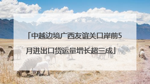 中越边境广西友谊关口岸前5月进出口货运量增长超三成