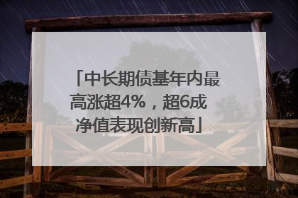 中长期债基年内最高涨超4%，超6成净值表现创新高