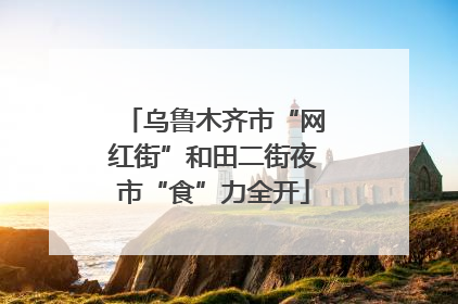 乌鲁木齐市“网红街”和田二街夜市“食”力全开