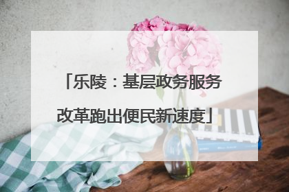 乐陵：基层政务服务改革跑出便民新速度