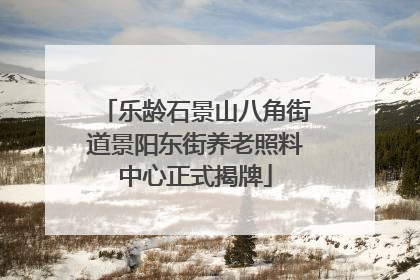 乐龄石景山八角街道景阳东街养老照料中心正式揭牌