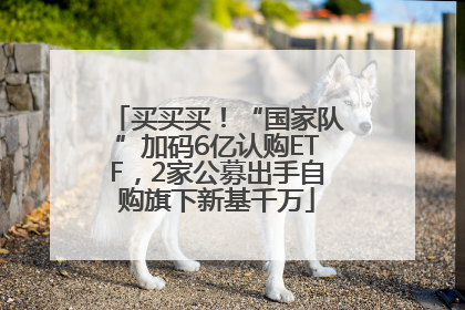 买买买！“国家队”加码6亿认购ETF，2家公募出手自购旗下新基千万