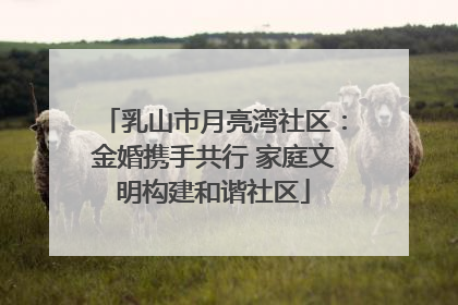乳山市月亮湾社区：金婚携手共行 家庭文明构建和谐社区