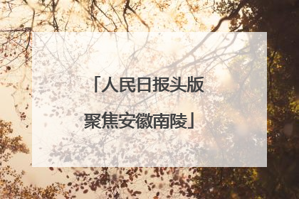 人民日报头版聚焦安徽南陵