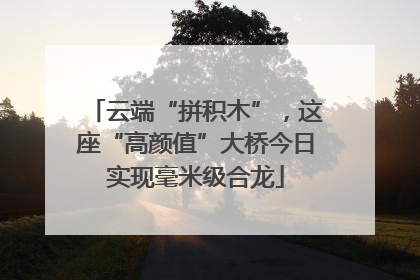 云端“拼积木”，这座“高颜值”大桥今日实现毫米级合龙
