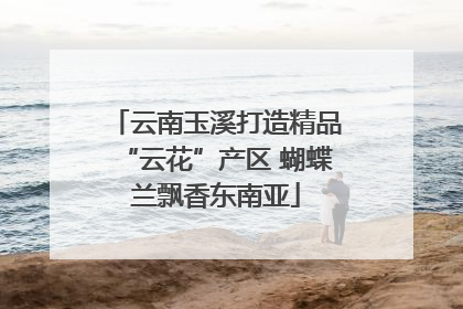 云南玉溪打造精品“云花”产区 蝴蝶兰飘香东南亚