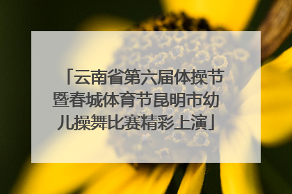 云南省第六届体操节暨春城体育节昆明市幼儿操舞比赛精彩上演