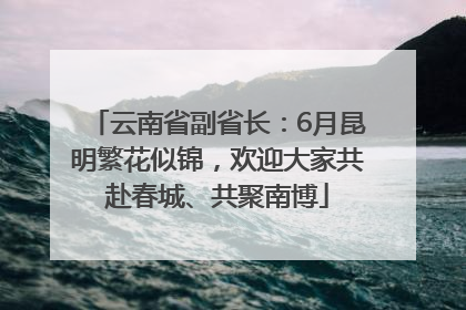 云南省副省长：6月昆明繁花似锦，欢迎大家共赴春城、共聚南博