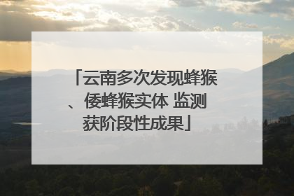 云南多次发现蜂猴、倭蜂猴实体 监测获阶段性成果