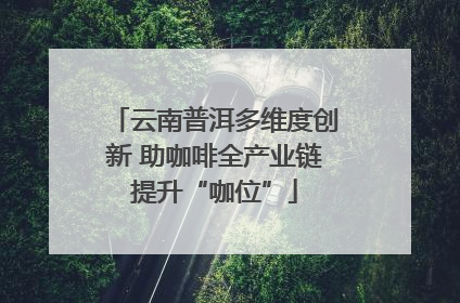 云南普洱多维度创新 助咖啡全产业链提升“咖位”