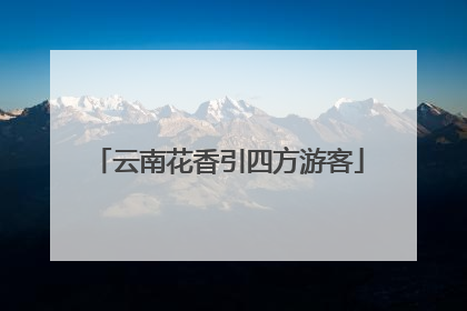 云南花香引四方游客