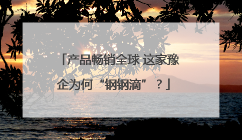 产品畅销全球 这家豫企为何“钢钢滴”？