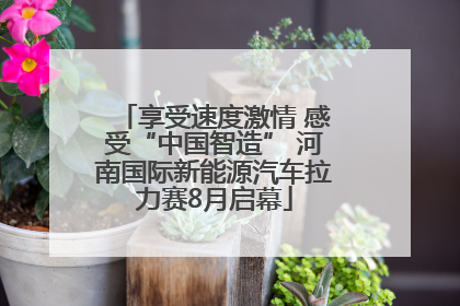 享受速度激情 感受“中国智造” 河南国际新能源汽车拉力赛8月启幕
