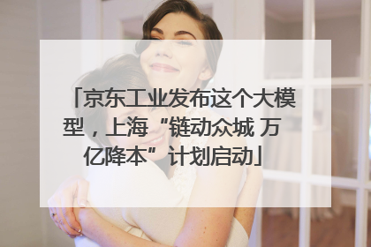 京东工业发布这个大模型，上海“链动众城 万亿降本”计划启动